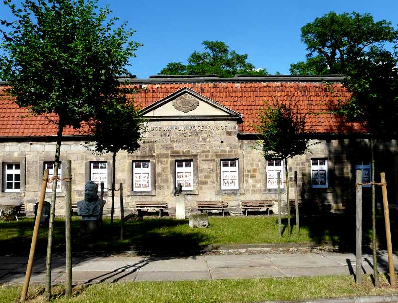 Halberstadt: Heineanum Aussenansicht Ausstellungsgebäude