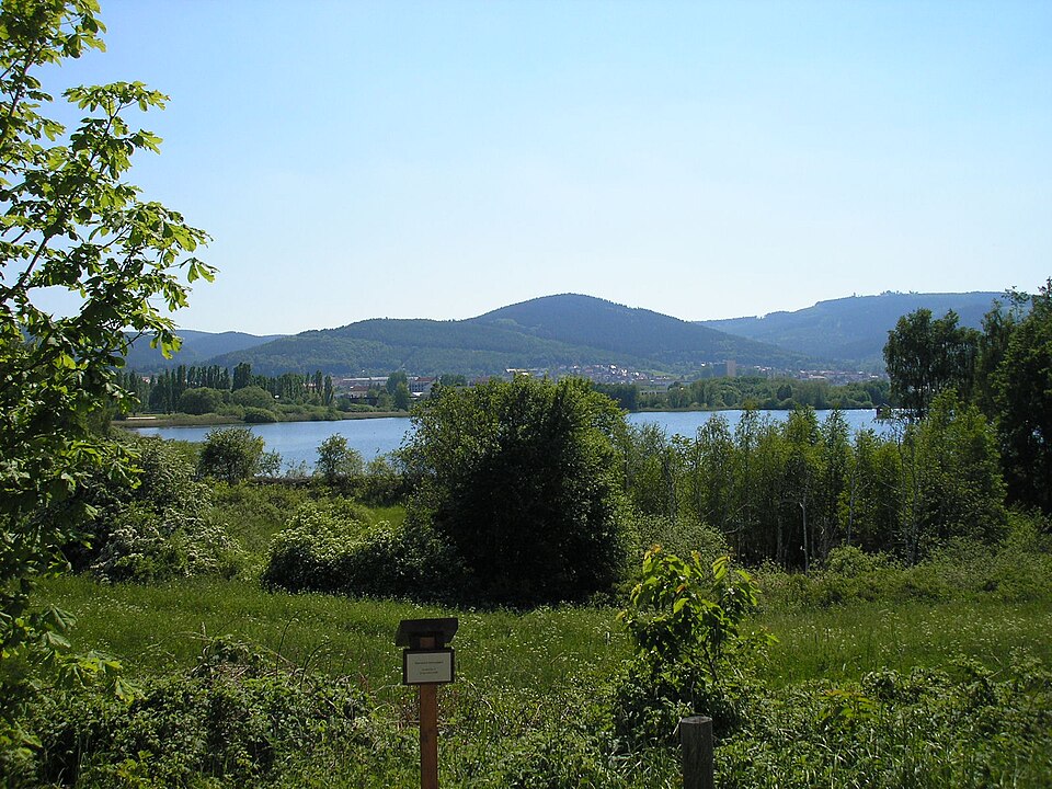 Großer Teich Ilmenau