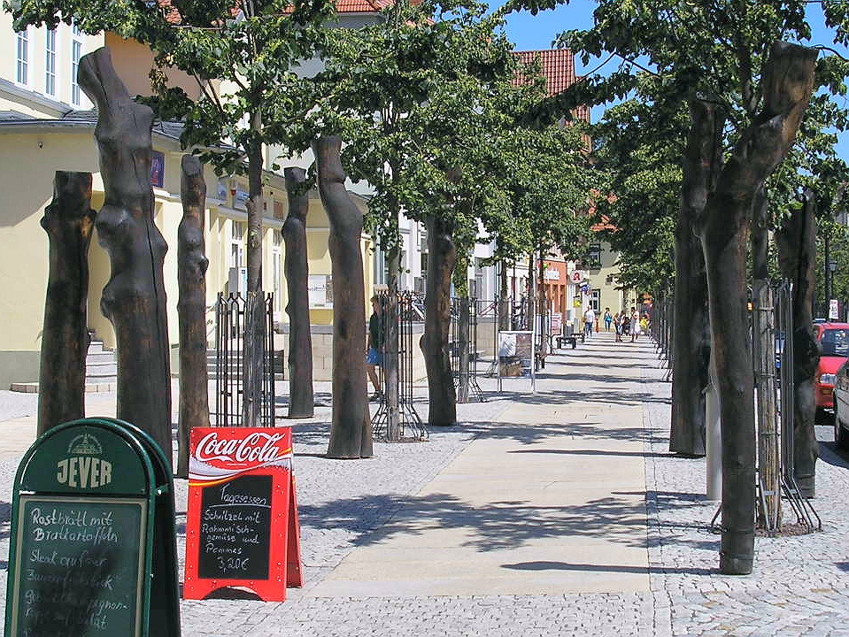 Die Metamorphose der Ilmenauer Linden